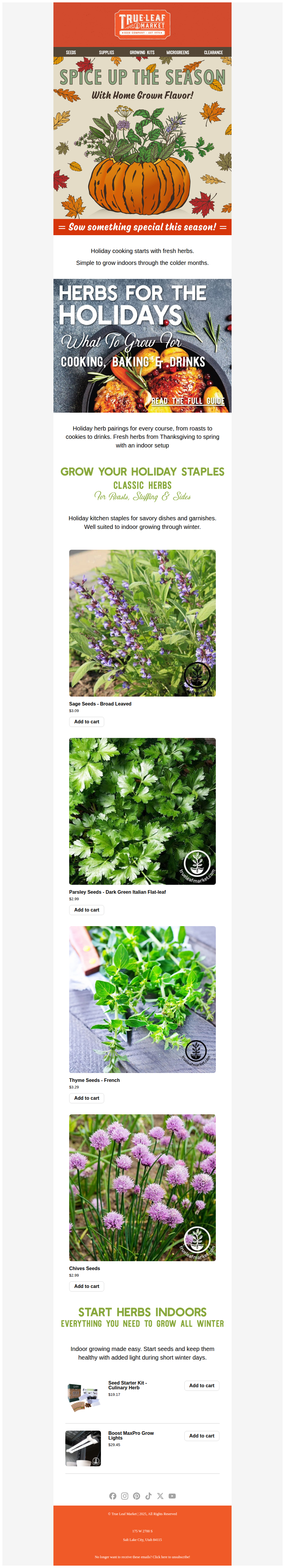 Your Holiday Herb Guide 🌿