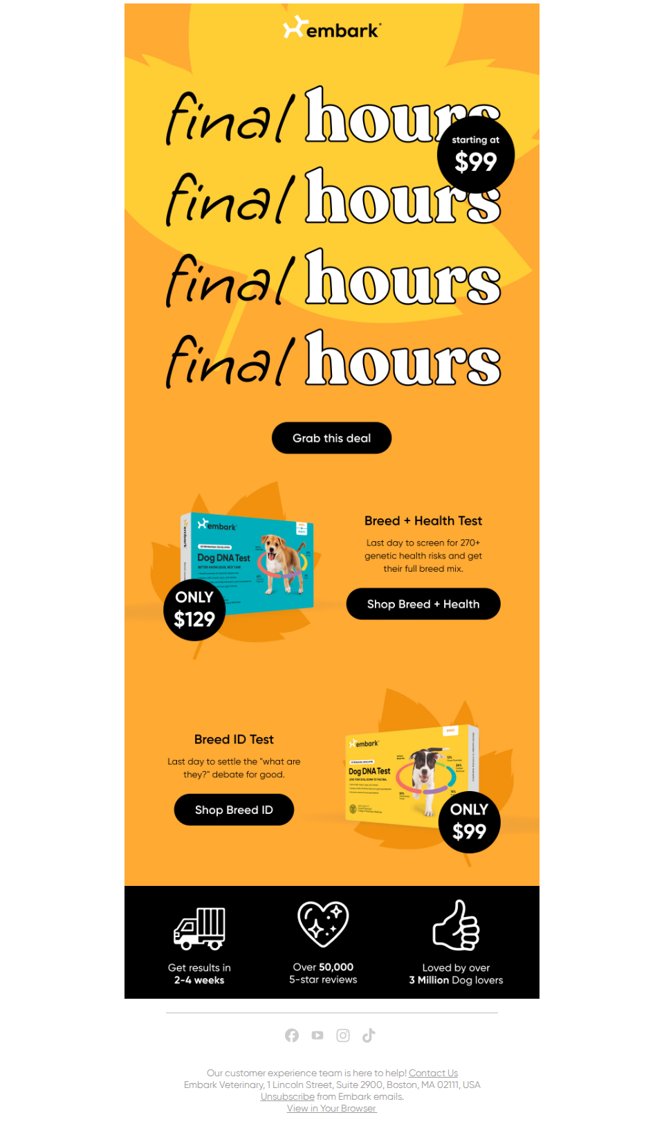 Final hours: Fall Sale closes