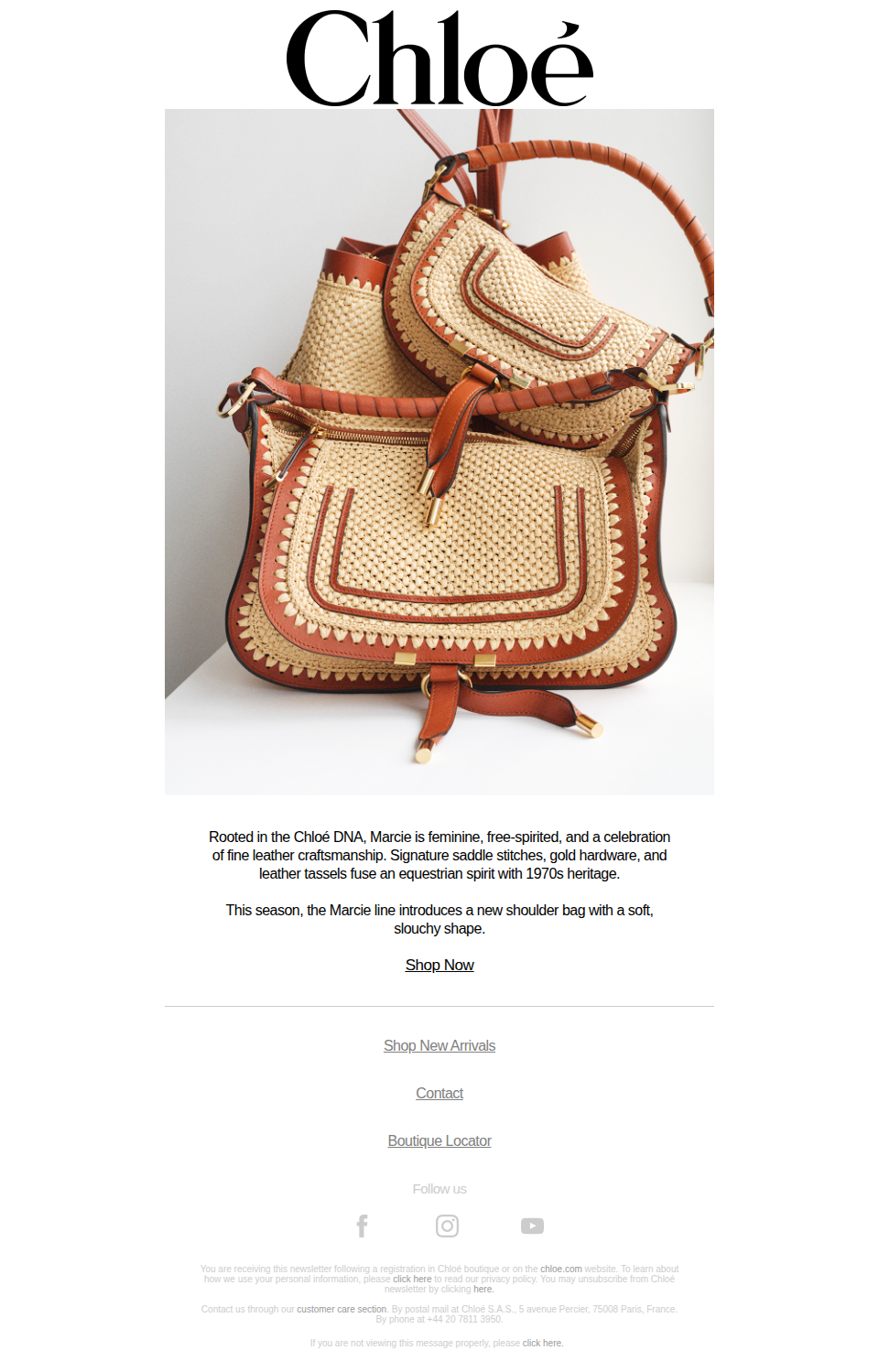 The Marcie Bag
