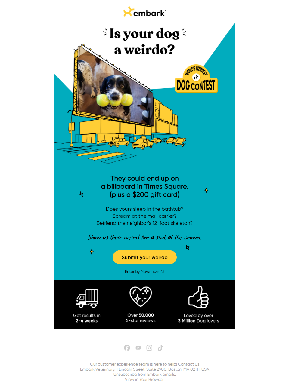 Picture your dog on a Times Square billboard