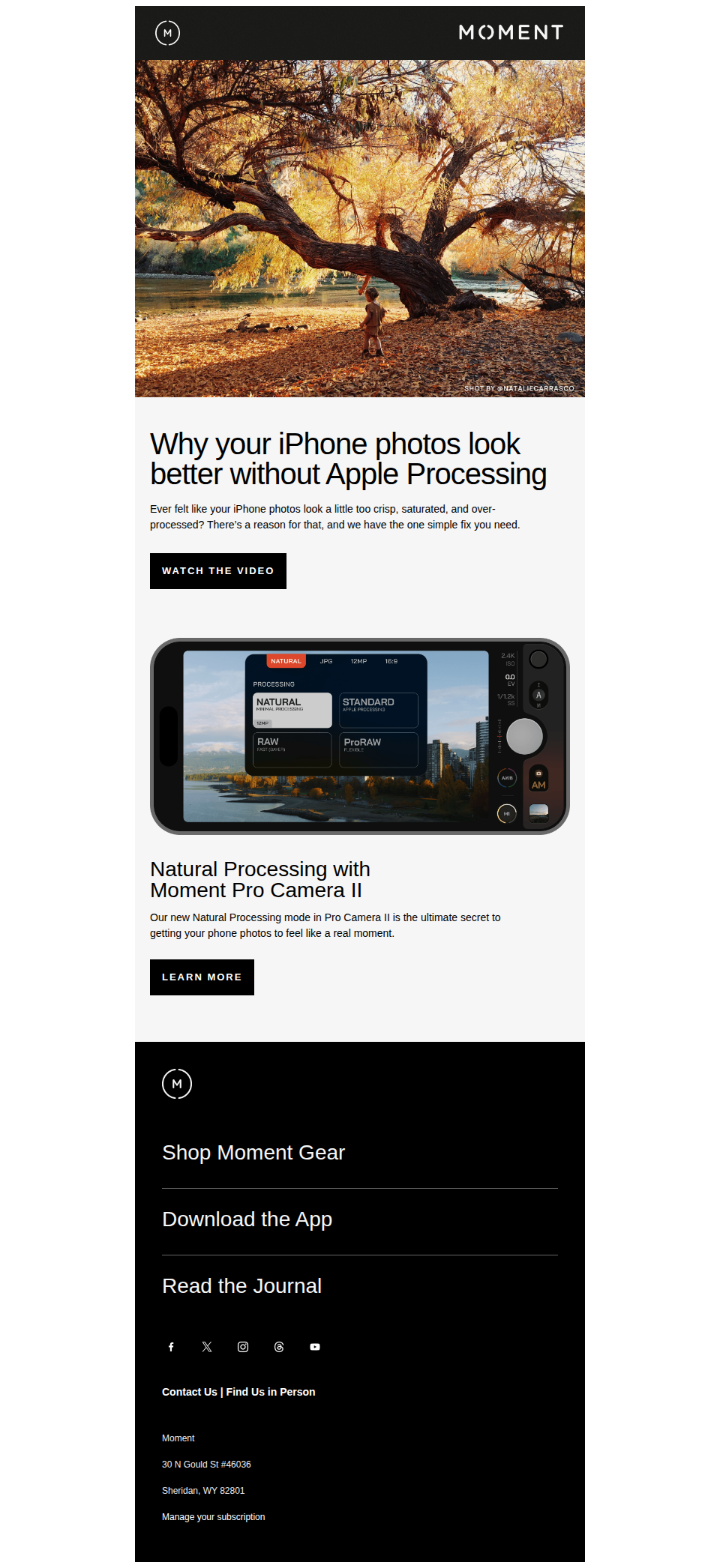One Secret to Better iPhone Photos