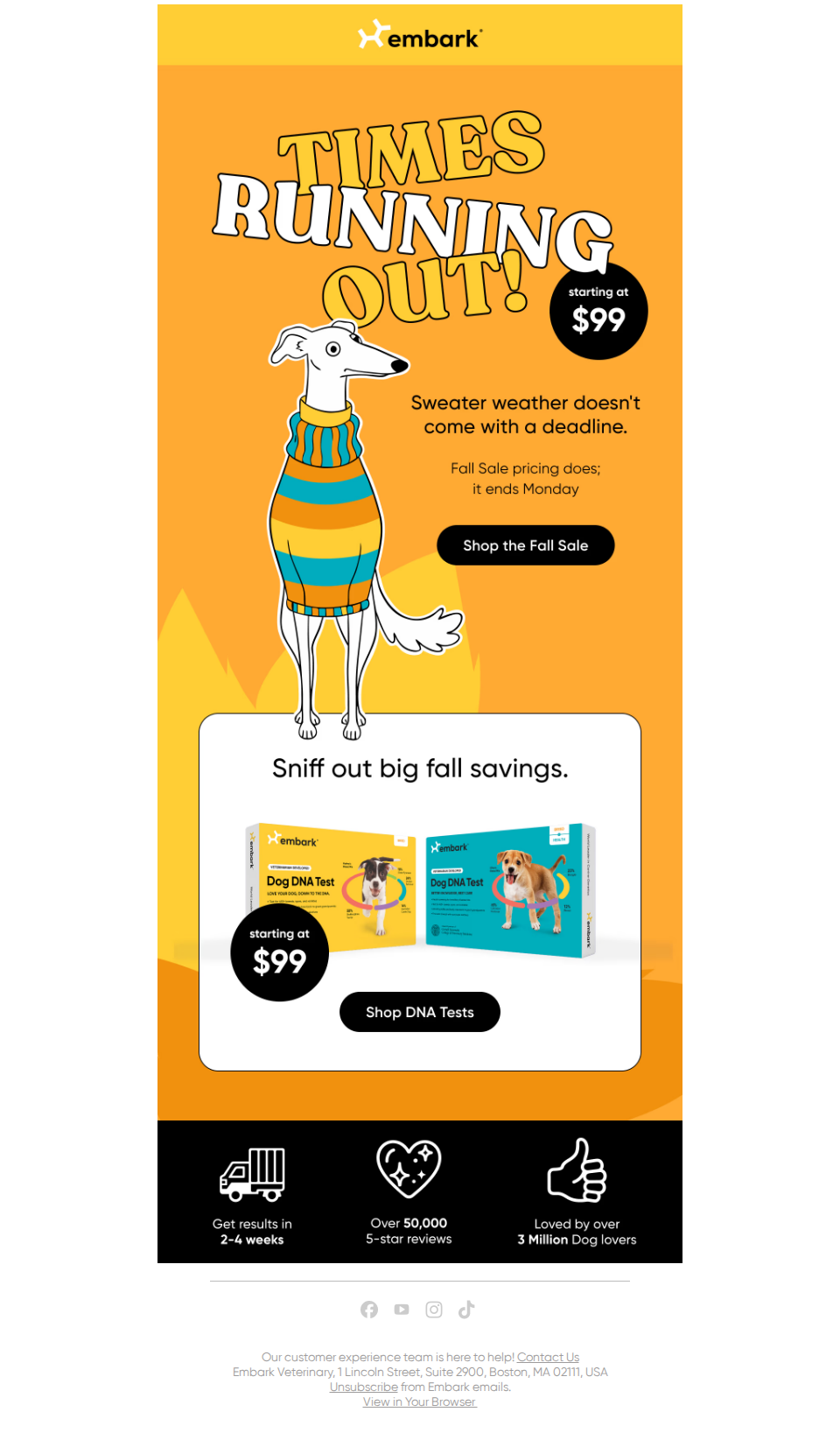 Final days for Fall Sale