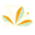 Daye logo